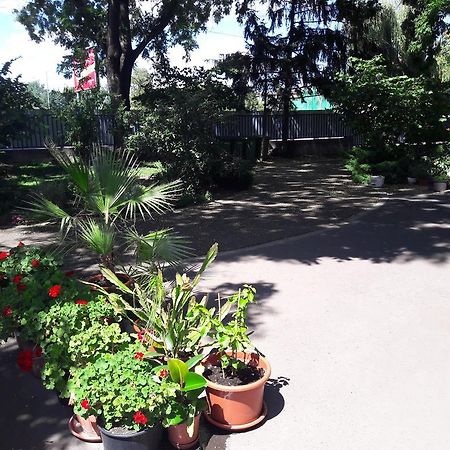 Orchidea Apartman Eger Zewnętrze zdjęcie