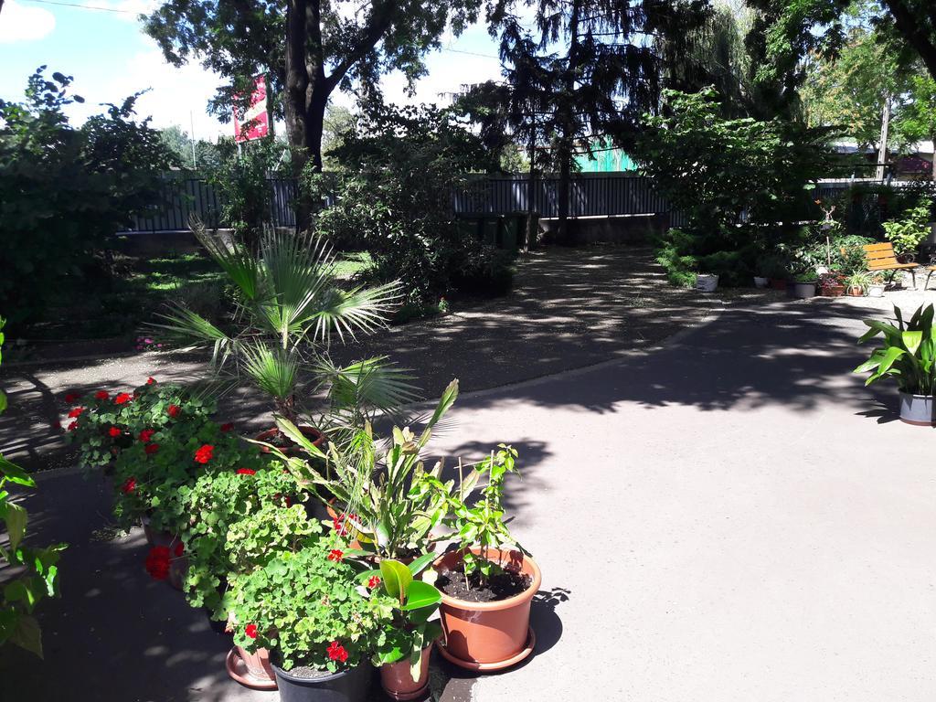 Orchidea Apartman Eger Zewnętrze zdjęcie